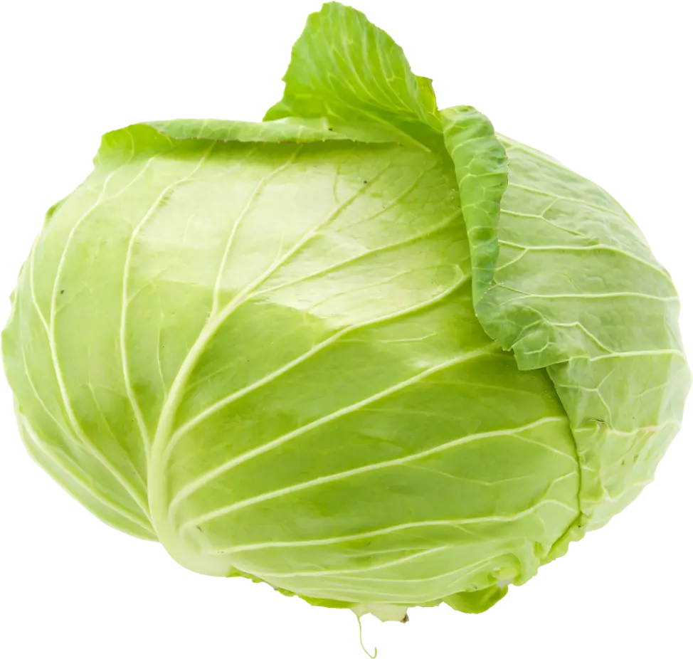 大阪王将 キャベツ