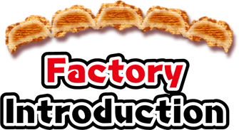 Factory introduction