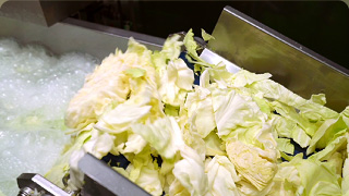 Cabbage processing